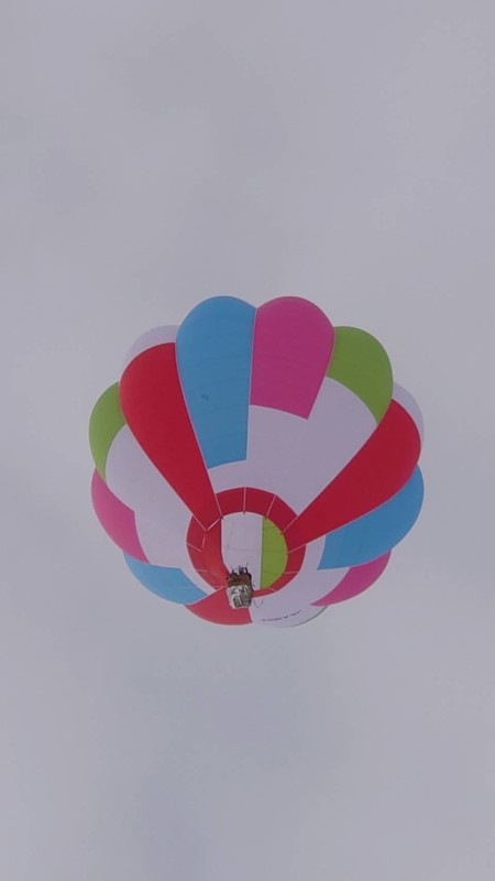 1３ Team ドレミファ